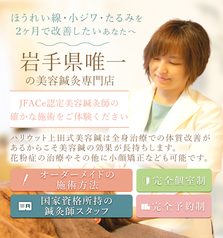 ほうれい線、小ジワ、たるみを2ヶ月で改善したいあなたへ岩手県唯一の美容鍼灸専門店