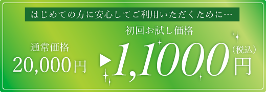 初回お試し価格
